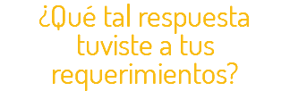 ¿Qué tal respuesta tuviste a tus requerimientos?